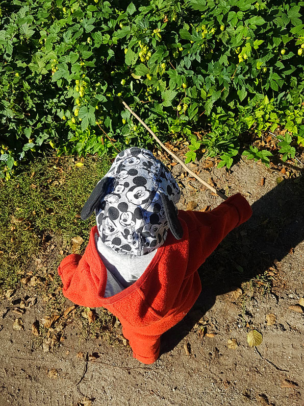 Kleinkind spielt im Wald mit einem Stock. Foto zum Blogpost Öko-Mamas Dilemma auf Patschehand.de.