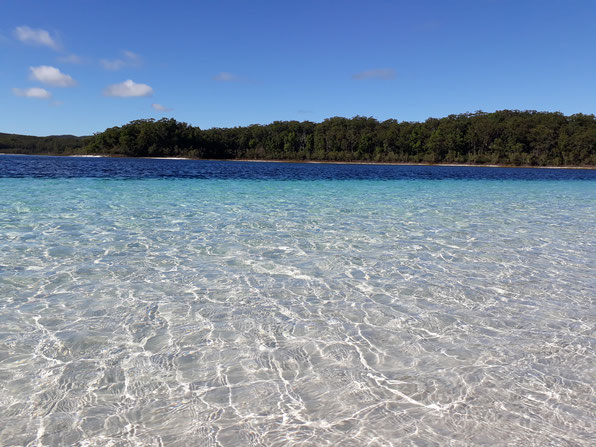 Lake McKenzie Fraser Island Queensland Australia