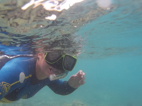 Snorkling Sailing Whitsunday Islands Queensland Australia