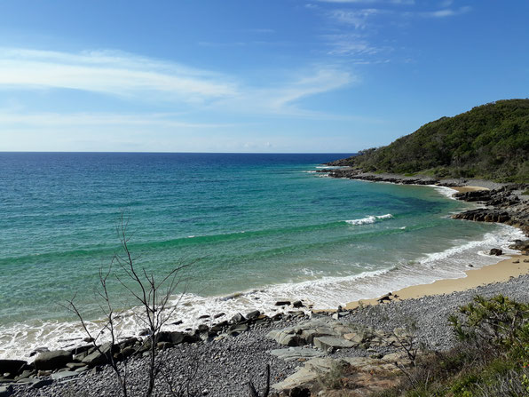 Coastal Walk Noosa Queensland Australia