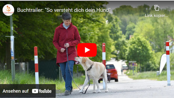 Frau und Hund gehen nebeneinander an lockerer Leine auf einer Straße entlang.