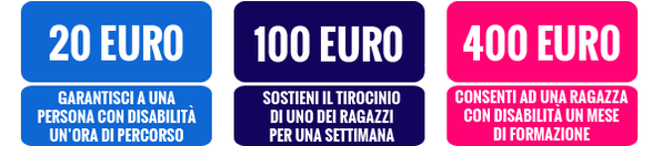 centro di solidarietà genova . inclusione lavorativa homo faber