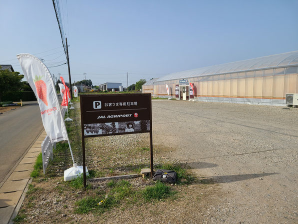 ▲イチゴ農園も運営している