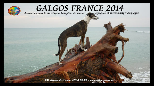 Page de couverture du calendrier chevalet