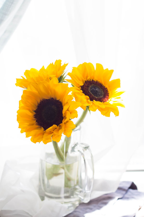 Sunflowers!