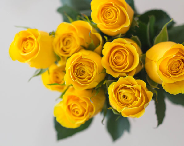Yellow Roses!