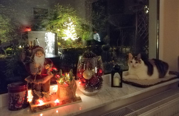 sweet Home winterland