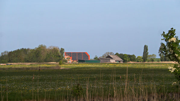 Unsere Unterkunft auf einem ehemaligen Bauernhof, ruhig gelegen, mit Blick über die Wiesen und Weiden.