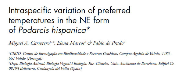 Intraspecífic variation of preferred temperatures in the NE form of podarcis Hispanica. 2006