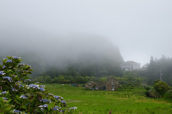 Hortensien, Nebel grüne Wiesen, alte Steinhäuser auf Sao Miguel, Azoren