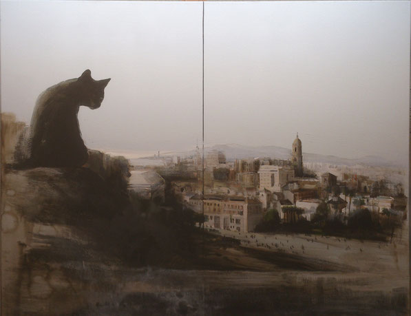 Gato sobre Alcazaba y Alcazabilla. Fernando Wilson. 2014