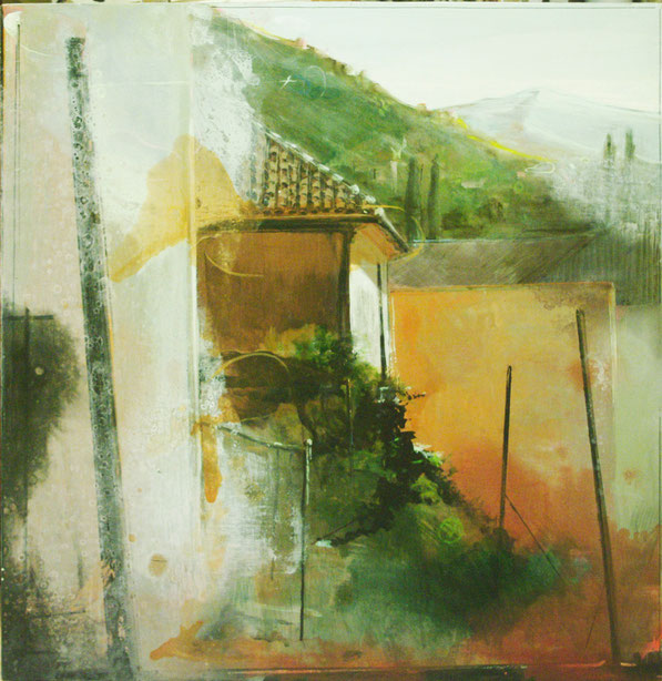 Gato camuflado. Fernando Wilson