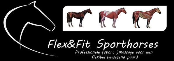 Flex&Fit Sporthorses, professionele sportmassage voor een flexibel bewegend paard