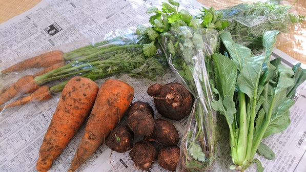 炭素循環農法 野菜
