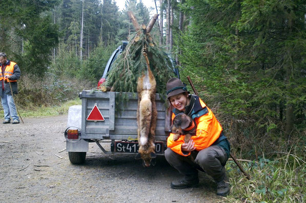 Diesen Fuchs sprengte Ali aus dem Bau, sodass er während der Treibjagd erlegt werden konnte