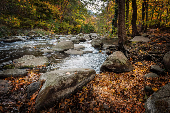 Fotoworkshop im Harz mit Sebastian Kaps, Bodetal