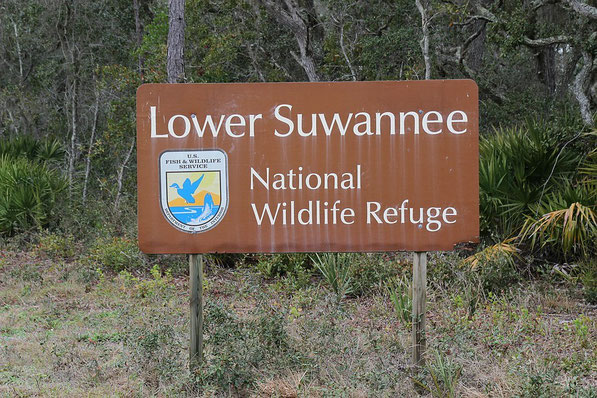 Lower Suwannee National Wildlife Refuge