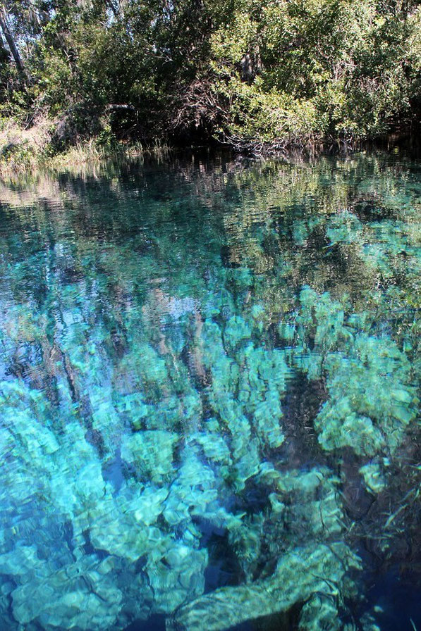 Rainbow Springs State Park