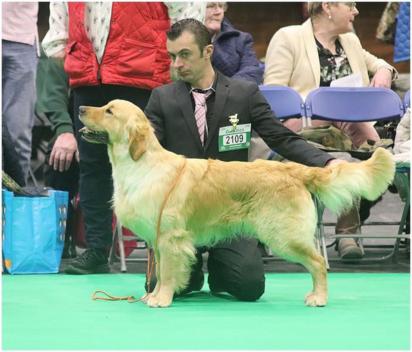 Butterfl'Highland Noeud Papillon , 14mois.Junior Class