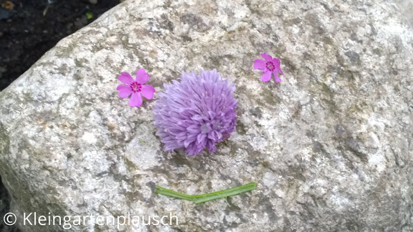 Blütengesicht auf Stein gelegt: Zwei zarte rosa Blüten als Augen, Schnittlauchblüte als Nase, Grashalm als Mund