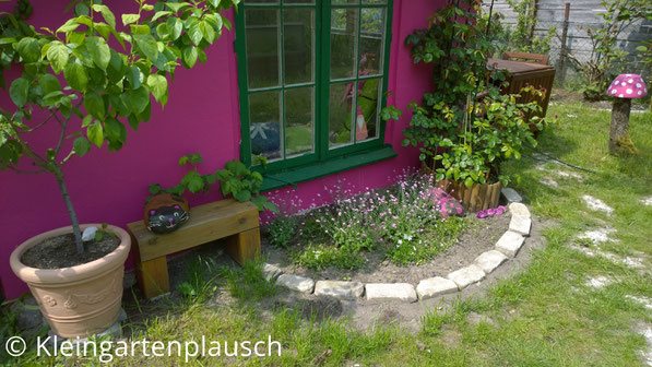 Vorderseite der pinken Hütte mit grünen Fenstern, davor links ein Mirabellenbäumchen im Topf, auf einer Holzbank eine Steinkatze, rechts davon ein kleines steinumgrenztes Beet, rechts davon die Rose generous gardener