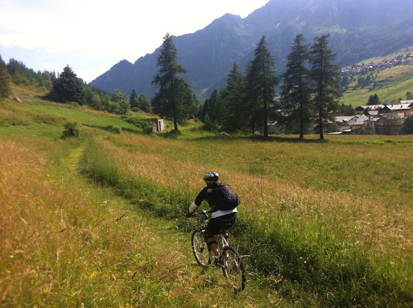 ultimi 10 km di sentiero in falso piano, molto bello come tutto l'anello trascorso oggi..... 