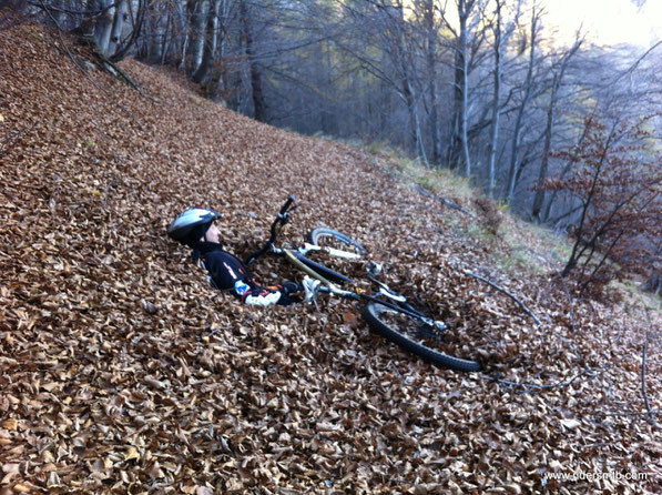 si entra nel bosco è la pedalata diventa quasi difficile.....riteniamo che non è un giro prettamente autunnale