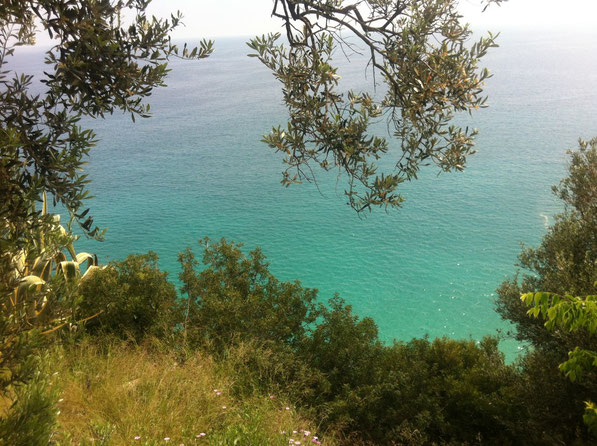 La Liguria non delude mai..... 