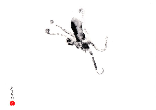 「蛸」　2019年5月　紙に墨　21×29.7cm程度