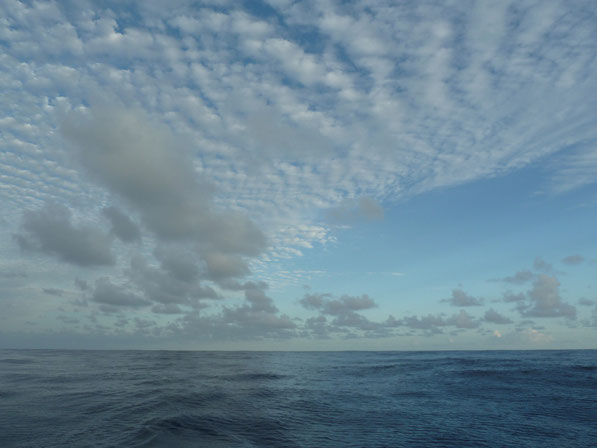 DER ATLANTIK MAL GANZ ANDERS:  100sm VOR BARBADOS, 2011  BEI CA. 28°C.