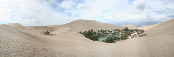 PALMEN IM SAND:  FLUSSOASE  HUACACHINA   BEI  ICA