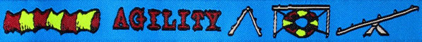 'Agility' blau - 15 mm     (+ 0,70 €)