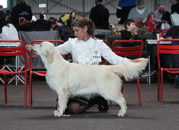 3 eme exc classe jeune Butterfl'Highland Ouaille Not , 11 Mois .