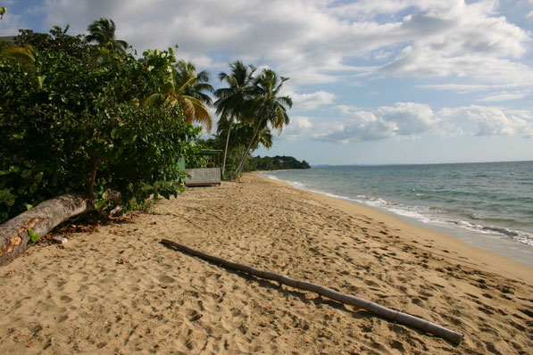 Rincon Puerto Rico Corcega Beach