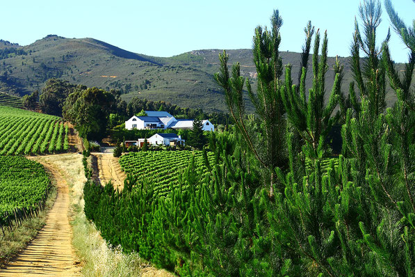 CAPESTYLECOLLECTION - Grande Provence - Franschhoek