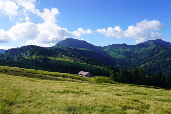 Ortsgemeinde Kaltbrunn - Alp Roten-Gheist