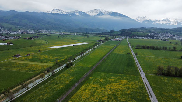 Benkner-, Burger- und Kaltbrunner Riet