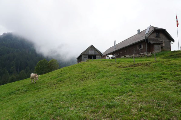 Mittelwengi Ortsgemeinde Kaltbrunn
