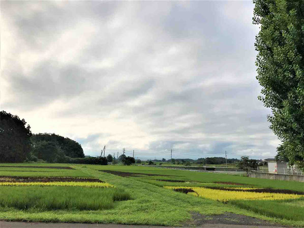 ふくしま遊歩道50選