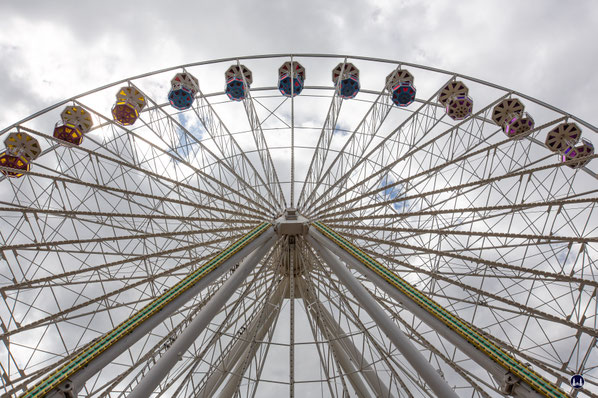 Ein letzter Blick aus einer der Gondeln in luftiger Höhe über die Hasenheide - er wird wohl nie wieder möglich sein.
