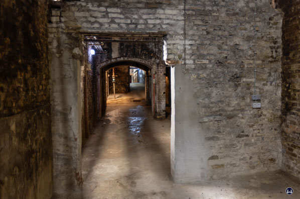 Nach dem mit dem verbunkerten Treppenhaus das äußerste westliche Ende erreicht worden war geht es nun wieder zurück in Richtung Steintreppe.