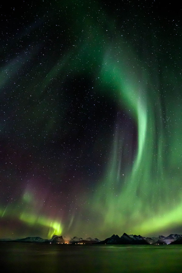 Nordlichter Aurora Borealis im Nordmeer in Norwegen mit Sternenhimmel