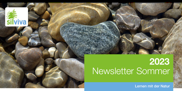 Header Newsletter