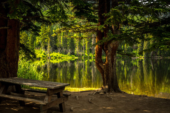 Ein Waldsee, am Ufer ein Sitzplatz aus Holz. Bild von Pexels auf Pixabay.