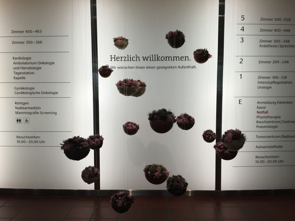 Wertschätzende Kundenbegrüssung: Das St. Claraspital in Basel heisst alle Menschen, die ins Spital hineinkommen, Woche für Woche mit schönen Blumenarrangements von der Blumenwiese in Dornach (wie hier mit «hängenden Blumenschalen») willkommen.