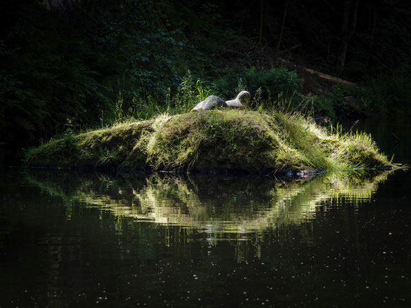 Insel in der Wilden Klamm