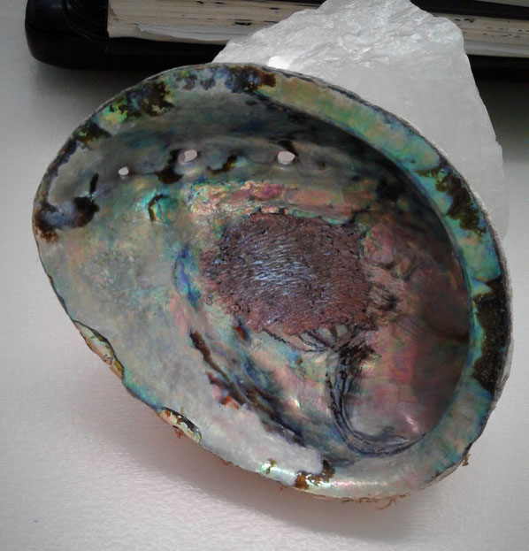 abaloneshell, smudge, smudgesupplies