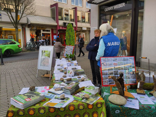 Aktive des NABU Bad Vilbel informieren zum Welttag des Waldes