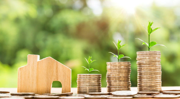 Unternehmenswert, Cashflows, Opportunitästkosten, Unternehmensbewertung, Unternehmensberatung, Fix-Text, Fixtext, Steven Hofmeister, Rendite, DCF Verfahren, Definition Free Cashflow, Start ups, moderne Unternehmensbewertung,