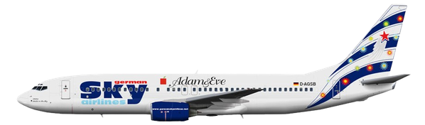 Aircraft Type: Boeing 737-800